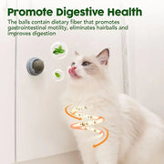 Catnip Toys Balls 4 Pcs, Extra Cat Energy Ball, Edible Kitten Silvervine Toys for Cats Lick, Healthy Kitty Teeth Cleaning Dental Chew Toys