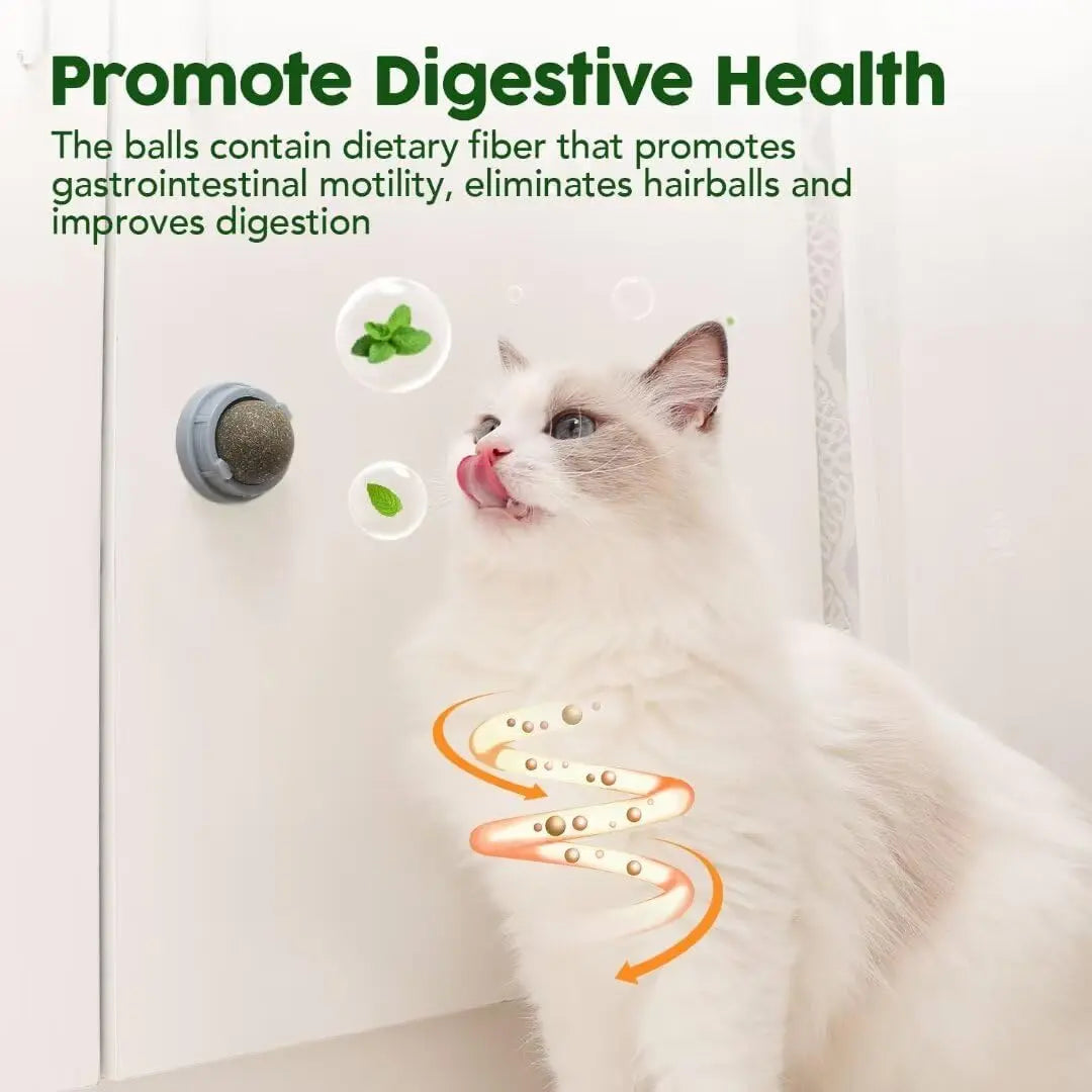 Catnip Toys Balls 4 Pcs, Extra Cat Energy Ball, Edible Kitten Silvervine Toys for Cats Lick, Healthy Kitty Teeth Cleaning Dental Chew Toys