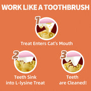 Just Try Lysine Cat Treats - Lactoferrin and Lysine for Cats and Kittens to Support Immune - Cat Allergy Relief - Sneezing, Runny Nose, Watery Eyes -Training Treats