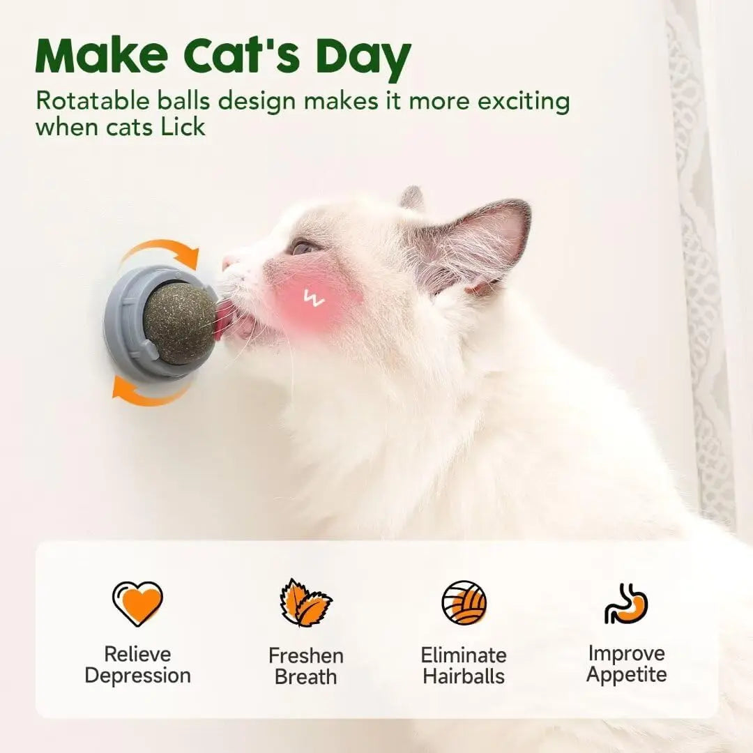 Catnip Toys Balls 4 Pcs, Extra Cat Energy Ball, Edible Kitten Silvervine Toys for Cats Lick, Healthy Kitty Teeth Cleaning Dental Chew Toys