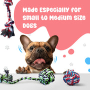 Pacific Pups 5 Piece Dog Toy Set - Dog Tug Toys for Small & Medium Dogs - Small Dog Toys - Dog Rope Toys Value Pack - Benefits Non-Profit Dog Rescue