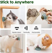 Catnip Toys Balls 4 Pcs, Extra Cat Energy Ball, Edible Kitten Silvervine Toys for Cats Lick, Healthy Kitty Teeth Cleaning Dental Chew Toys