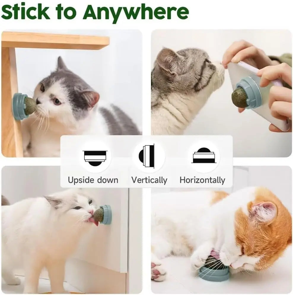 Catnip Toys Balls 4 Pcs, Extra Cat Energy Ball, Edible Kitten Silvervine Toys for Cats Lick, Healthy Kitty Teeth Cleaning Dental Chew Toys