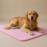Cooling Dog Bed