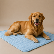 Cooling Dog Bed