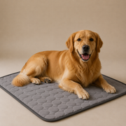 Cooling Dog Bed