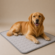 Cooling Dog Bed