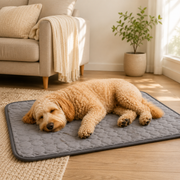Cooling Dog Bed