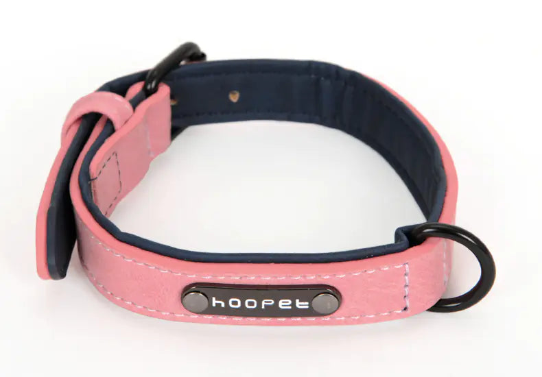 Dog Collar for Teddy, Bulldog, Golden Retriever, and More