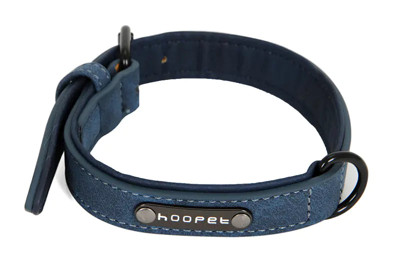 Dog Collar for Teddy, Bulldog, Golden Retriever, and More