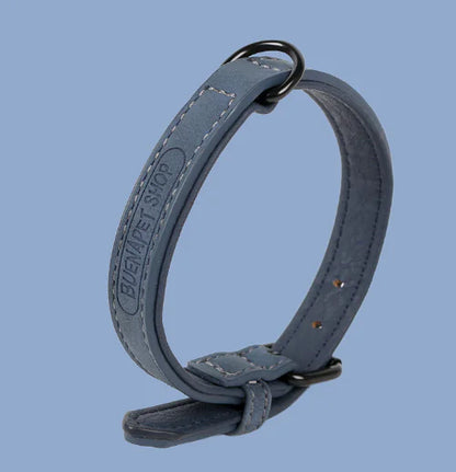 Dog Collar for Teddy, Bulldog, Golden Retriever, and More