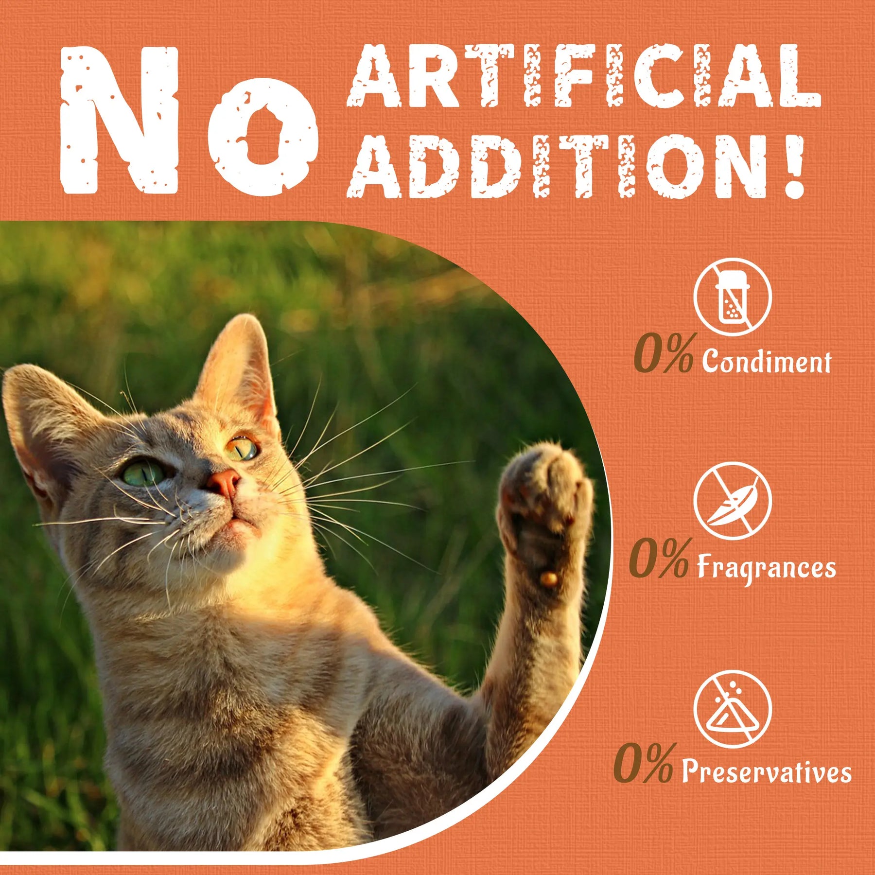 Just Try Lysine Cat Treats - Lactoferrin and Lysine for Cats and Kittens to Support Immune - Cat Allergy Relief - Sneezing, Runny Nose, Watery Eyes -Training Treats