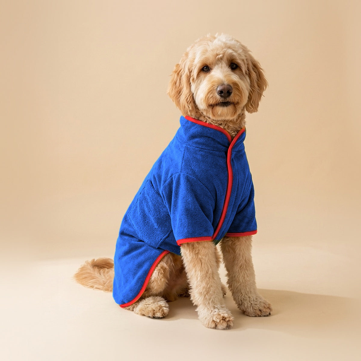 Goldendoodle wearing the Microfiber Drying Robe in Blue with red trim