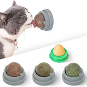 Catnip Toys Balls 4 Pcs, Extra Cat Energy Ball, Edible Kitten Silvervine Toys for Cats Lick, Healthy Kitty Teeth Cleaning Dental Chew Toys
