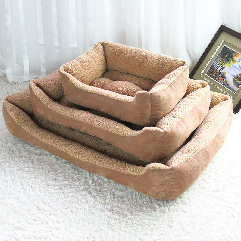 Teddy Golden Retriever Dog Bed and Pet House