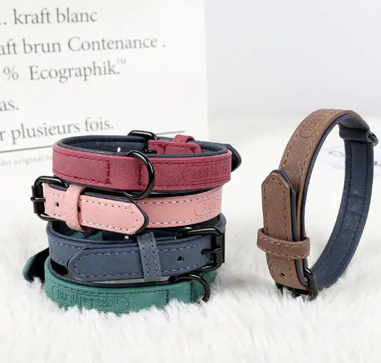 Dog Collar for Teddy, Bulldog, Golden Retriever, and More