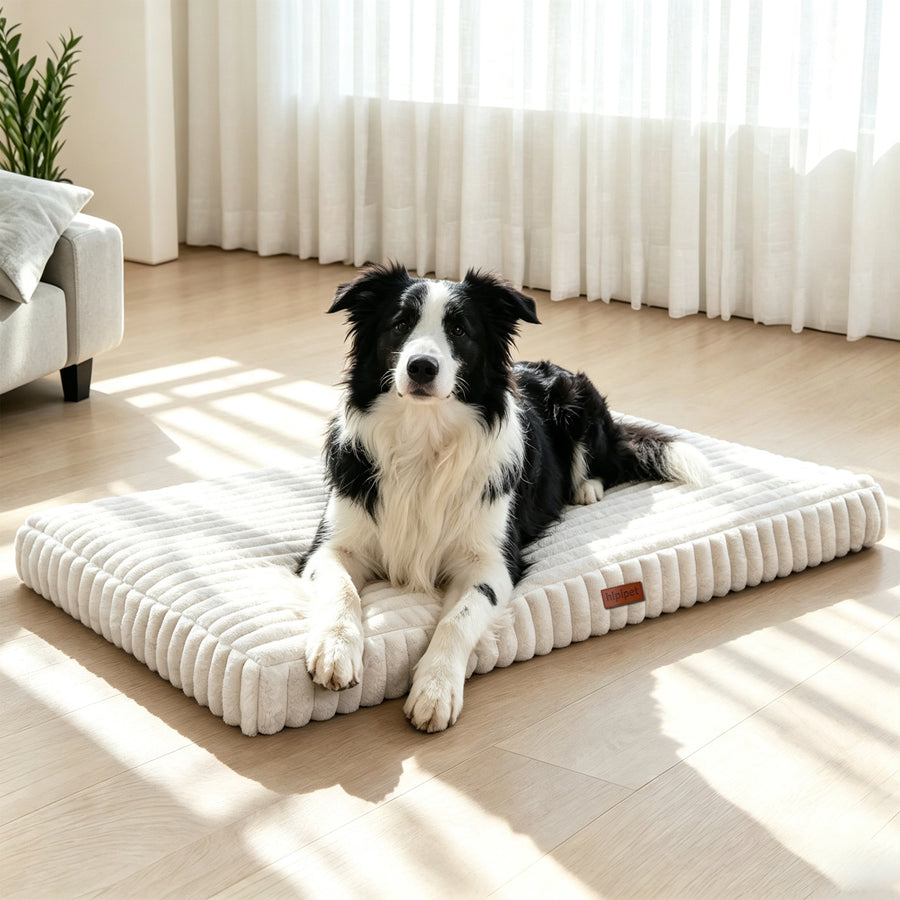 Washable Comfort Dog Bed