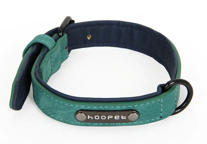 Dog Collar for Teddy, Bulldog, Golden Retriever, and More